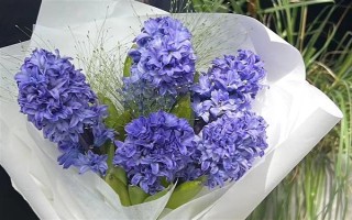 结婚一周年送老婆什么花合适，可以选择玫瑰花、百合花等