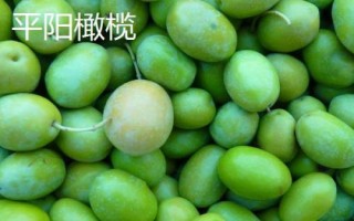 浙江省平阳县的特产,马蹄笋为当地传统名优特产