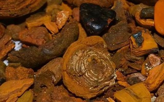 什么是鸡宝，指的是病变卵泡