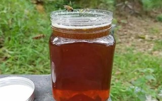 桉树蜜的价格，零售价格一般在30-40元左右一斤