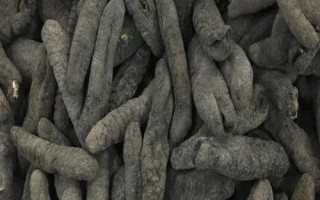 乌参的产地，我国主要分布在海南岛