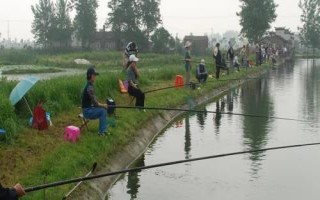 钓草鱼能用玉米吗,钓底和钓浮都可以