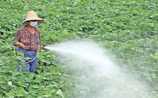 烯禾啶怎么使用，兑水后进行喷雾