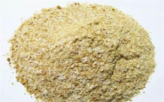 六月份能钓鲤鱼，六月份的垂钓效果比较好