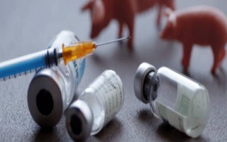 母猪生产时能不能使用氯前列醇钠,怀孕113天时可进行肌注