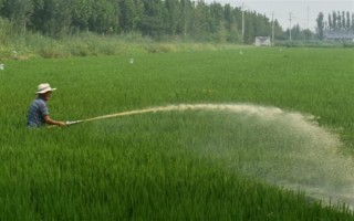 农作物根外施肥技术，根据气候条件选择喷肥时间