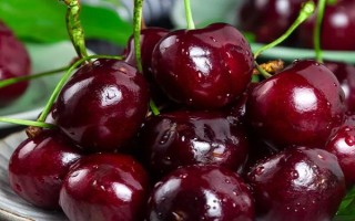 智利车厘子品种有哪些，常见的有布鲁克斯、桑提娜等