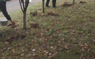 冬季施肥的注意事项,冬季注意控制好施肥量