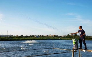 罗氏沼虾的养殖条件，土壤以壤土、黏土为佳