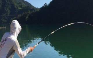 黑坑黑漂不中鱼的原因，黑坑中鱼密度非常高