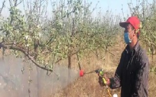 硫酸亚铁的使用方法，每隔10天左右喷施一次