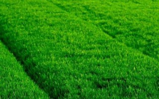 什么是春分，属于24节气之一