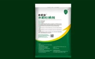 水稻壮秧剂在什么时候用，通常在秧苗移栽后使用