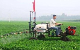 花生结荚期怎么管理,结荚初期亩施复合肥10-15公斤