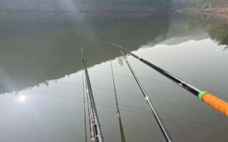 玉米能钓什么鱼，嫩玉米粒适合钓大物鱼