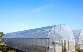 大棚内遮阳和外遮阳的区别，前者在棚内安装遮阳系统、后者直接把阳光阻挡在棚外