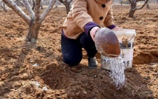 复合肥如何使用，需先测土质再合理施用