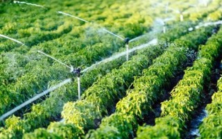 灌溉农业的含义，就是以水浇田的农业