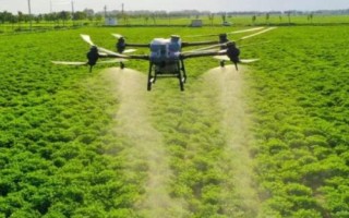 除草剂不管用的原因,气温、天气、土壤等对其都会有影响