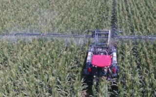 哪些农药遇碱容易分解，包括敌敌畏、敌百虫等有机磷制剂