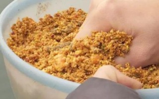 钓鱼的技巧,要等发窝后再下竿