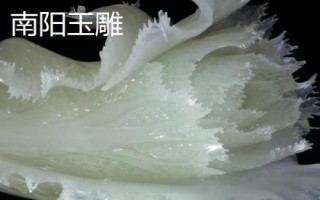 河南省范县的特产,范县大包子深受食客喜爱