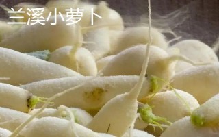 浙江省兰溪市的特产,兰溪杨梅深受消费者喜爱