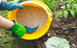 对植物使用硫酸亚铁的作用，能起到调节酸碱度、补充营养等效果