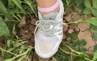 花生踩一脚的时间,一般为7-8月份