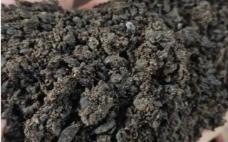 幸福树开花的寓意，寓意着吉祥如意