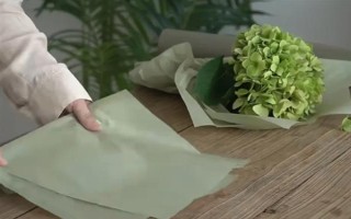 如何让绣球花多开花，将温度保持在20℃可促进花朵开放