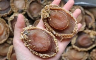 最贵的水产动物是哪十种，包括蓝龙虾、帝王鲑、鹅颈藤壶等种类