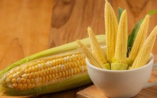 西南地区适合种植的玉米品种，常见的有鄂玉10号、强硕168等