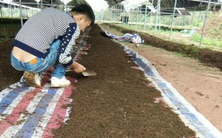 蚯蚓没有销路如何解决，卖给渔具店是不错的选择