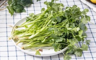 10月可以种哪些水果,适合种柑橘、草莓、百香果等