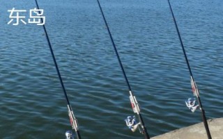 好用的鲫鱼竿有哪些，包括光威和迪佳等品牌