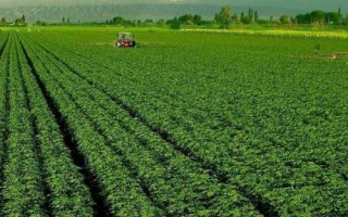 增产不增收怎么解决，可采取调整结构、改善产品质量、发展特色品牌农业等措施