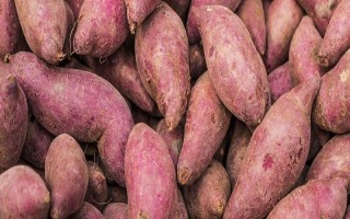 薯类的作物，包括甘薯、马铃薯、山药等