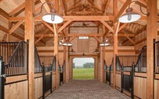 关中马的养殖要点，需选择颈部细长、肌肉丰满的种马作为养殖对象