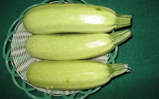 西葫芦的其它名称，具有美洲南瓜、小瓜等叫法