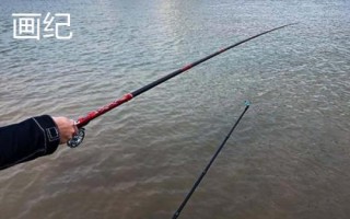 质量较好的谷麦竿品牌,狼王以高质量和性价比被广大钓友认可