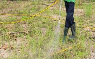 蔬菜田如何施用草甘膦，严禁使药液接触蔬菜等作物以防药害