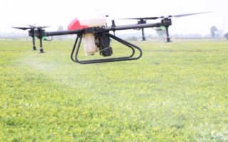 高粱地除草剂有哪些，苗前和苗后除草剂的选择不同