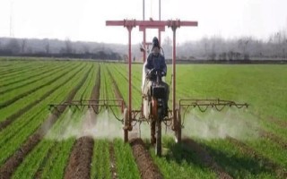 冬小麦常用哪些除草剂，分为防治阔叶草、禾本科草等类型