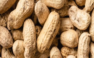 花生下针多用什么药物，烯效唑、缩节胺、芸苔素内酯是适宜选择