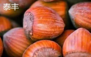 榛子的种植前景,市场需求大、种植后收益较可观