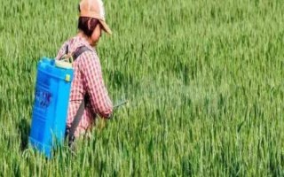 草铵膦与草甘膦的区别，成本、类型、见效时间等均不同