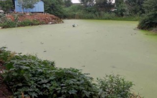 利润高的农村创业项目,看准市场再投资