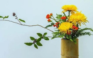 插花有什么造型，水平型、三角型、L型等类型比较常见