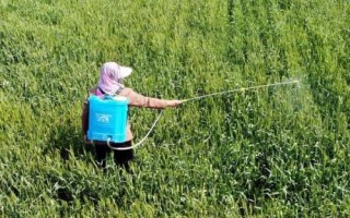 喹硫磷属于限用农药吗，非限用农药、可对蔬菜使用